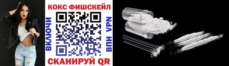 Cocaine FishScale  Купить закладки  Котово 