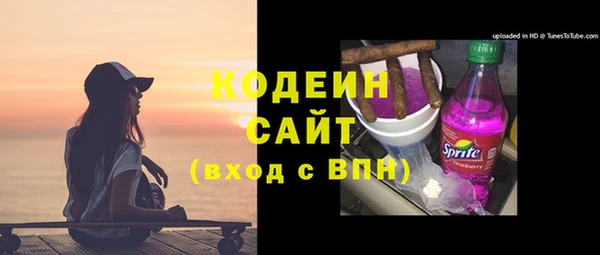 мдпв Карпинск