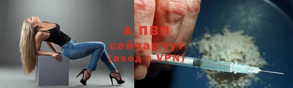 мдпв Карпинск
