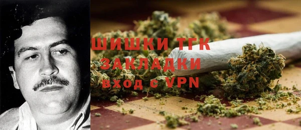 мдпв Карпинск
