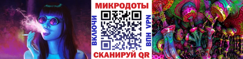 Купить  Котово  Галлюциногенные грибы мицелий 